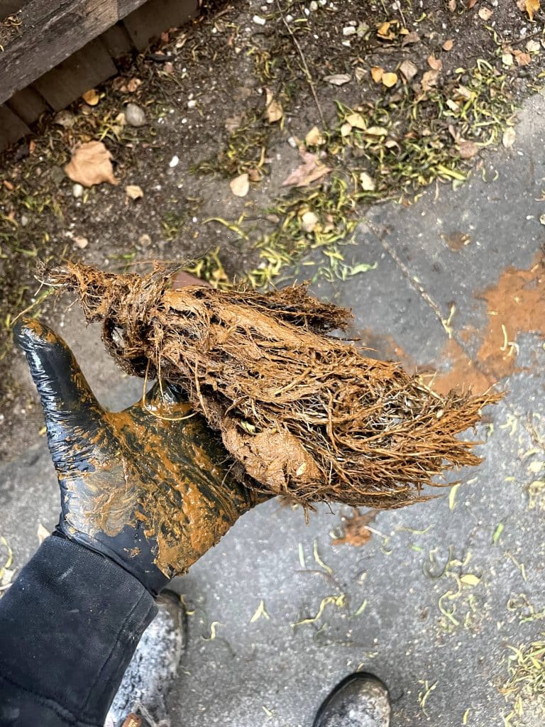 Blocked Drains Bayside Melbourne