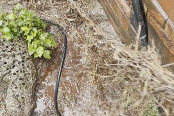 Blocked drains Bayside Melbourne